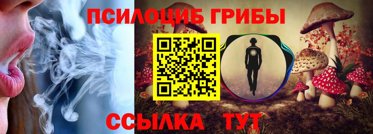 Галлюциногенные грибы Cubensis Горно-Алтайск